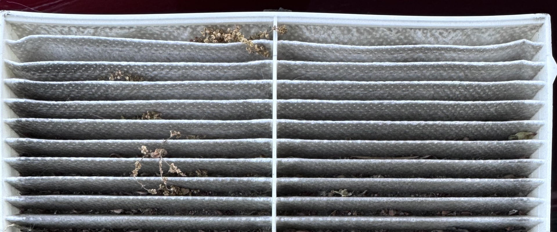 The Truth About Air Filter Lifespan