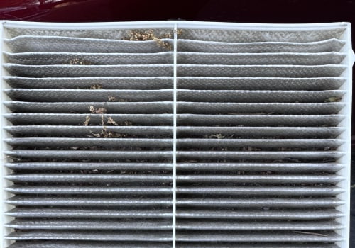 The Truth About Air Filter Lifespan